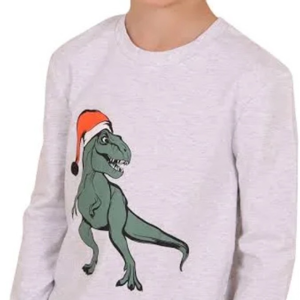 Dot Kids Gray Dinosaur Shirt